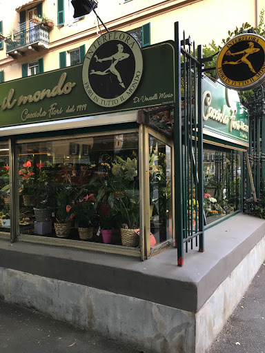 Mario's Cacciola sas to Mario's Veneselli