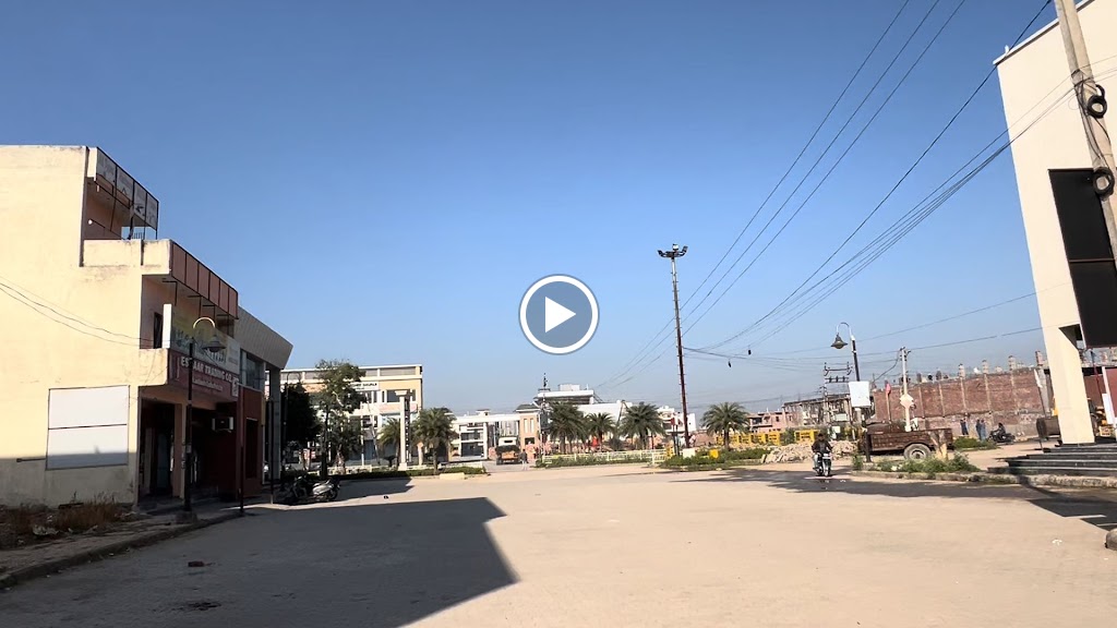 Dr Brc Live Nature Holistic Wellness Clinic Best Panchakarma Ayurveda Naturopathy Treatments