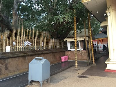 Photos of Kataragama Sacred Bo Tree