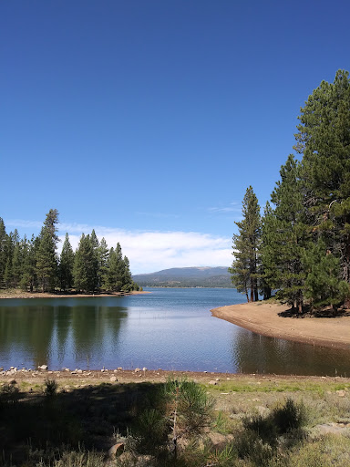 Logger Campground - Visual