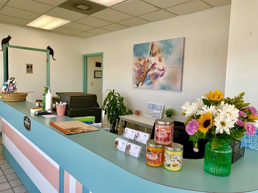 VCA Beacon Hill Cat Hospital Gallery - United States