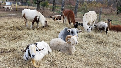 Barnyard Friends & Stables