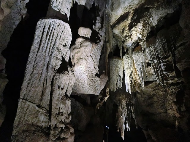 Cutta Cutta Caves Nature Park