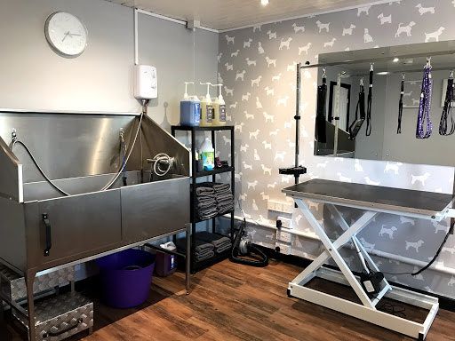 Scruffy 2 Fluffy Dog Grooming