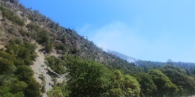 Tannery Gulch Campground