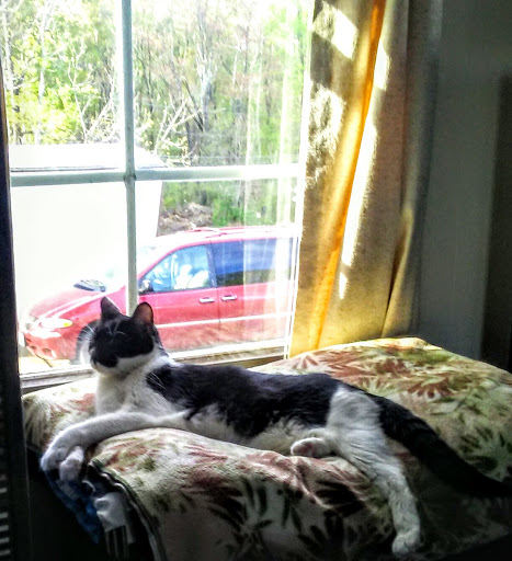 Locust Gardens Mobile Home Pk - Thumbnail