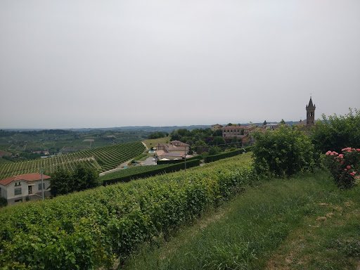 Vigneti Aliberti - Thumbnail
