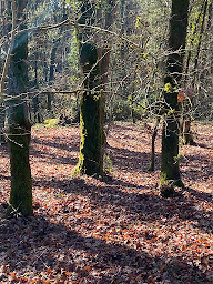 Photo n°12 de Les Chalets du Périgord - Camping à Sarlat à Sarlat-la-Canéda (Piscine)