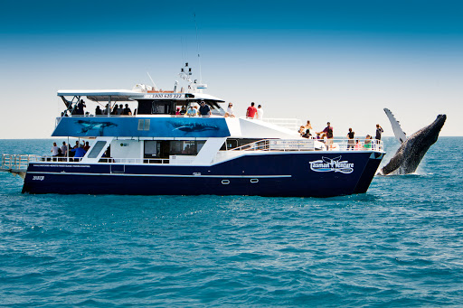 Tasman Venture