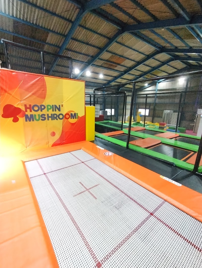 ホッピンマッシュ！広島本店｜トランポリン・子ども体操教室