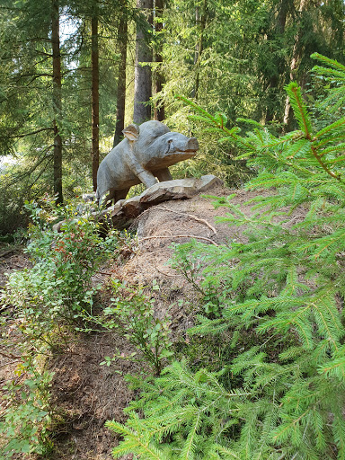 Walderlebnispfad Waldnaabaue - Thumbnail