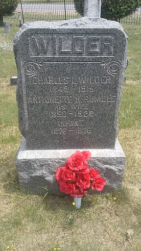 Beaches Bridge Cemetery - Thumbnail