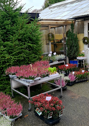 Ohlssons Blommor - Thumbnail