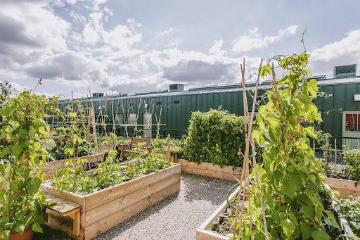 Alfreton Park School Gallery - United Kingdom