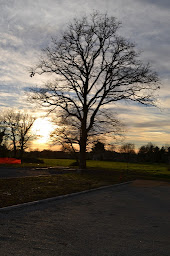 Photo n°11 de Cliniques Vétérinaires Animéa, Site des Grands Animaux : Chevaux, Bovins à La Roche-sur-Yon (Urgences vétérinaires)