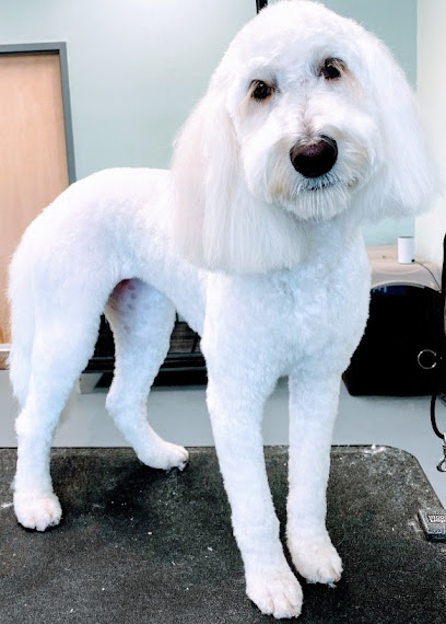 The Royal S'paw by Pretty Paws