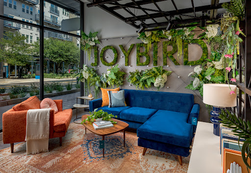 Joybird - Thumbnail
