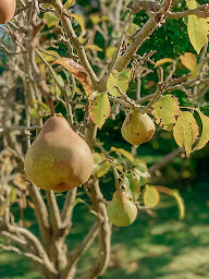 Photo n°18 de La Maison Mélorienne - Gîte de charme 4 étoiles à Saint-Méloir-des-Ondes (Hôtel bien-être)