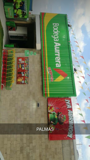 Bodega Aurrera Express, Las Palmas Tonalá