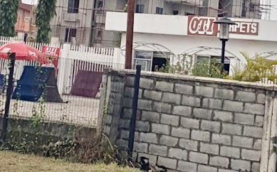 Photos of Oti Carpets