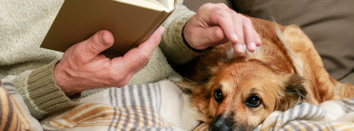 Nursing home in Driffield: True Peace of Mind