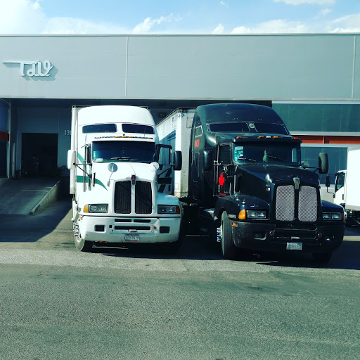 TRANSPORTES DEL VALLE - Thumbnail