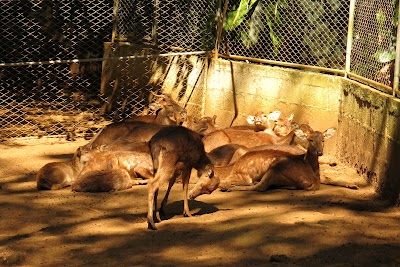 Photos of La Vanille Crocodile Park