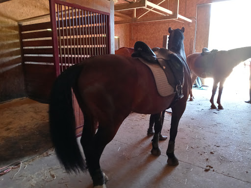 Wildwood Farm, Inc. - Thumbnail