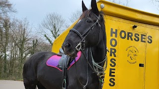 KD Equine Transport