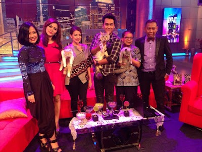 Photos of Kucing Ponco Jual Kucing Persia
