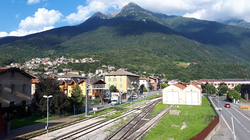 Edolo