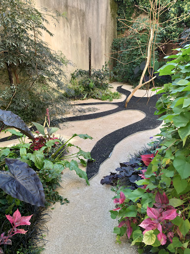 Le jardin de la sorcière et du dragon - Thumbnail
