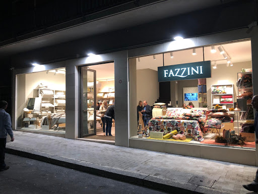 Fazzini - Visual