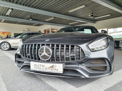Auto-Wallstein - Visual
