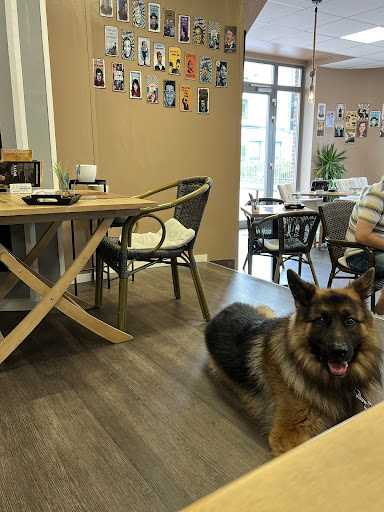 Nazar Cafe - Visual