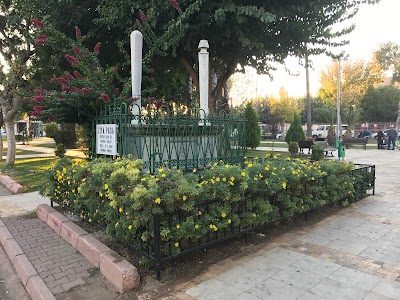 Ziyapaşa Parkı