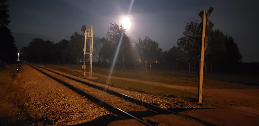 Kaufman Dog Park - Thumbnail