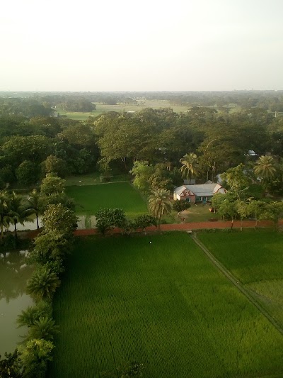 Photos of Colonel Bari Jame Mosque