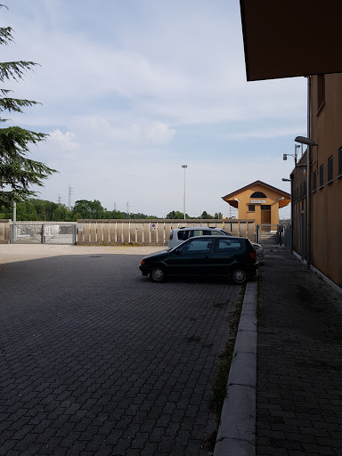 Tarcento