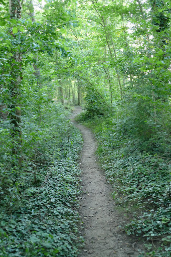 Kabouterpad Tuil - Thumbnail