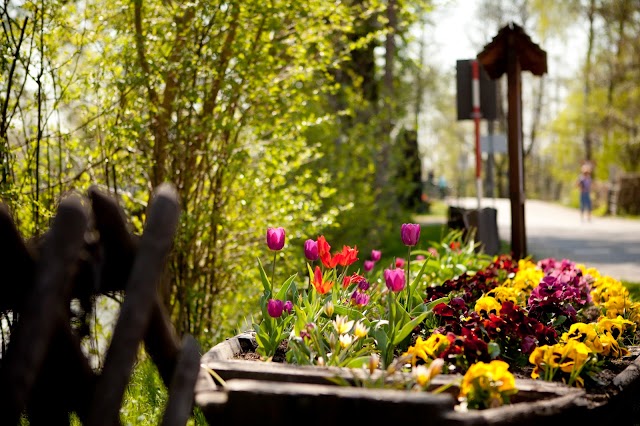 Spreewald-Natur-Camping "Am Schlosspark"