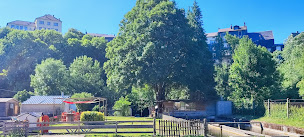 Photo n°17 de Pisciculture les Uguettes à La Salvetat-sur-Agout (Ferme aquacole)
