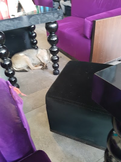 Photos of Biga Bar