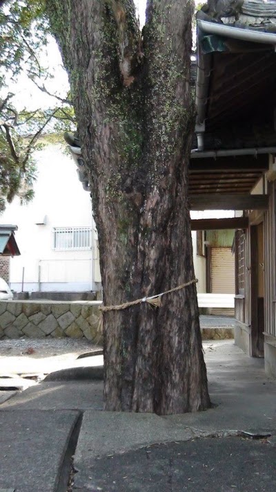 Photos of Hamaoji