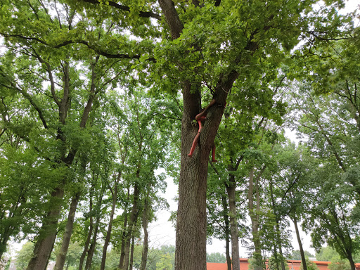 Speeltuin Melick - Thumbnail
