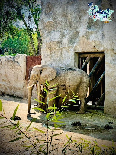 RangelTours Gallery - Mexico