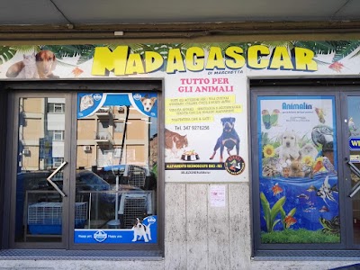 Madagascar negozio di animali pet shop