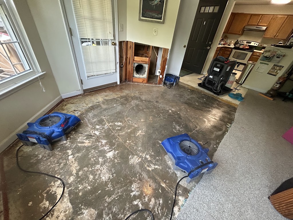 The Honest Guys Water, Fire, & Mold Damage photo