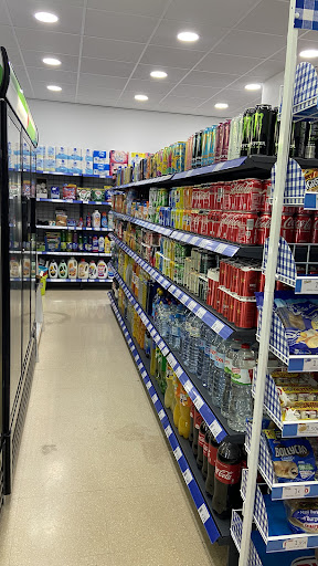 BASIC GROCERY ALIMENTS - Visual