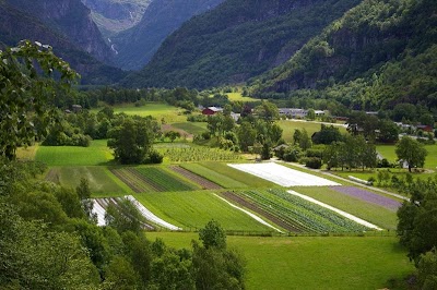 Photos of Sogn jord- og hagebruksskole
